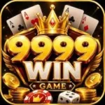 9999Win